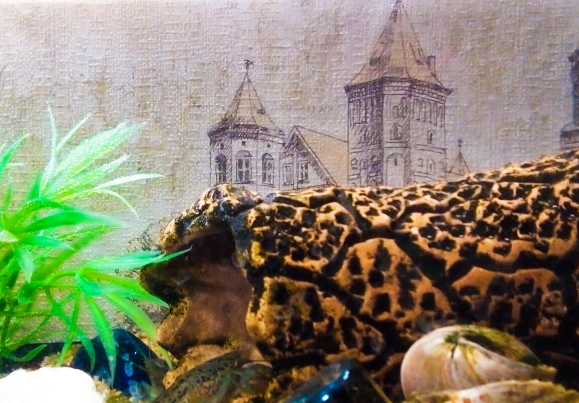 Все фотографии к этой публикации - из моего личного архива