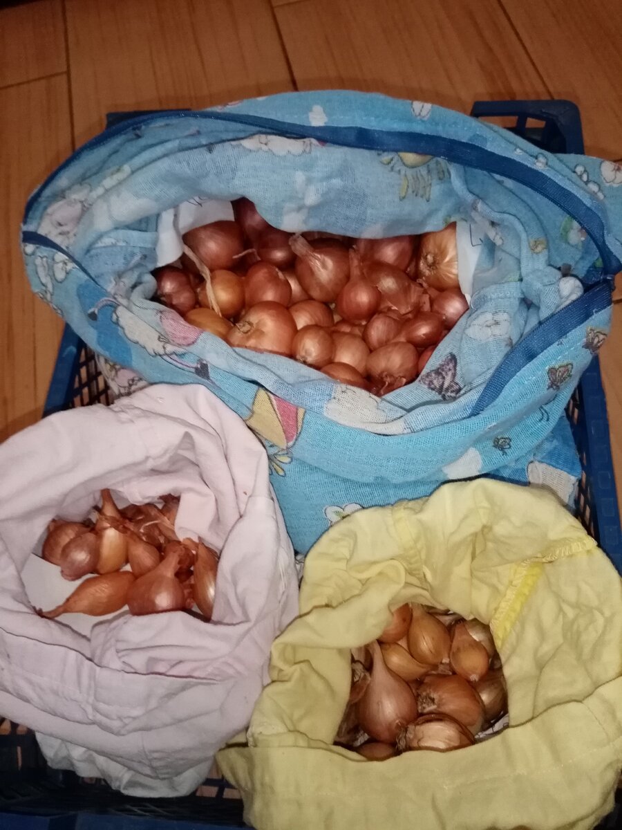 Лук на хранении в доме, в полотняных мешках