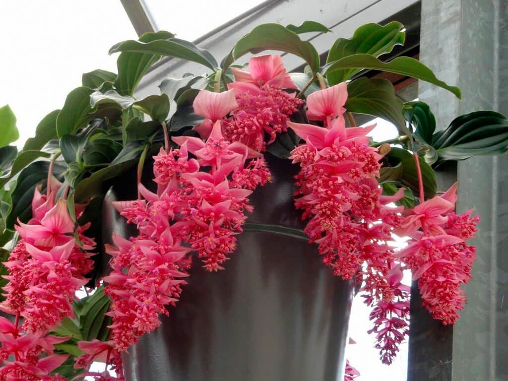 Фотография из сети Интернет