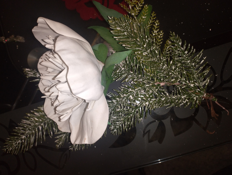 красавец пион