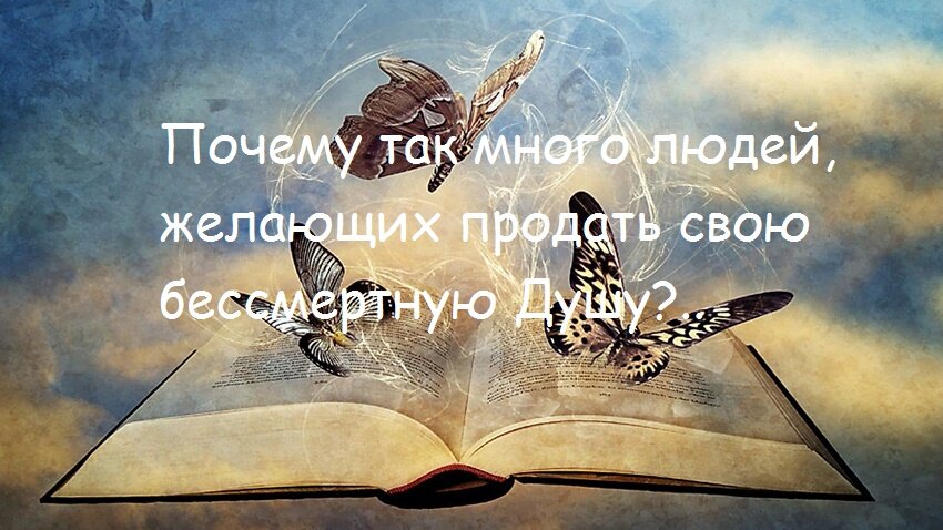 картинка автора