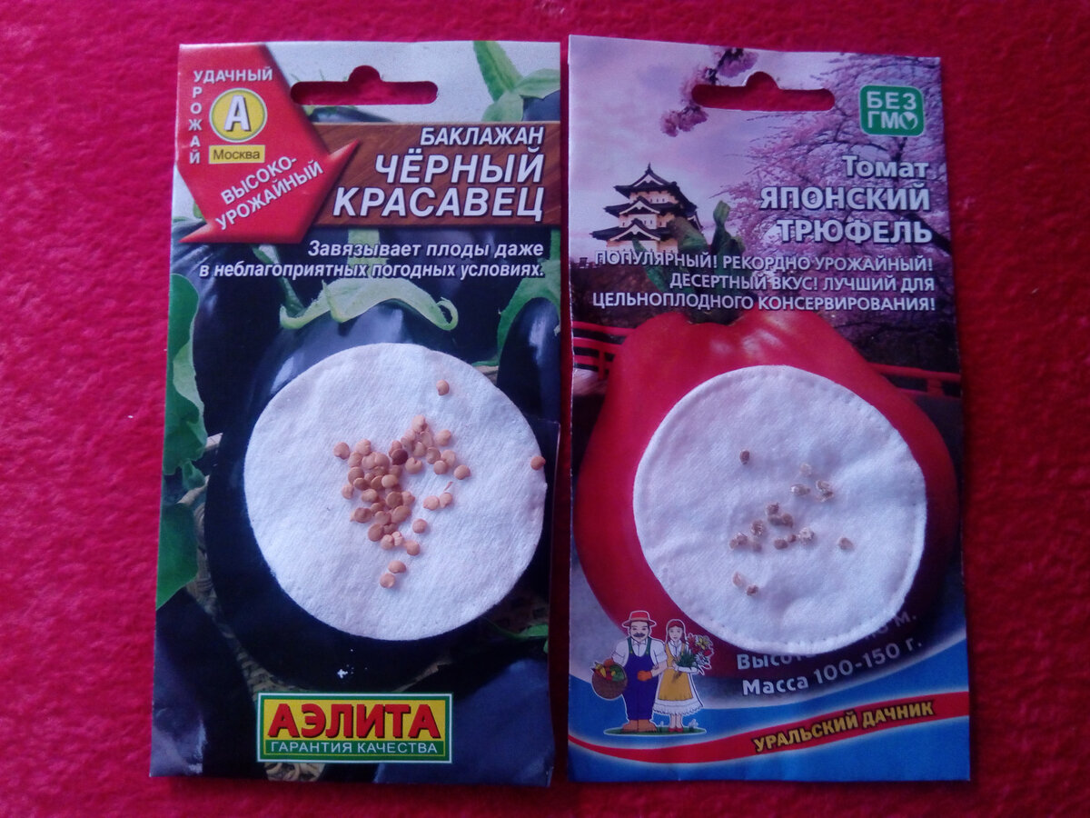 Внешне на семенах трудно определить инфекцию (фото автора)