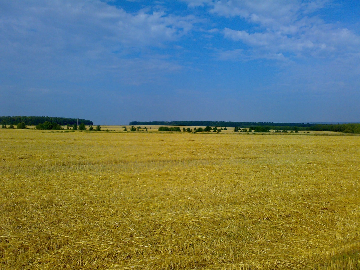 Липецкая область, Задонский район