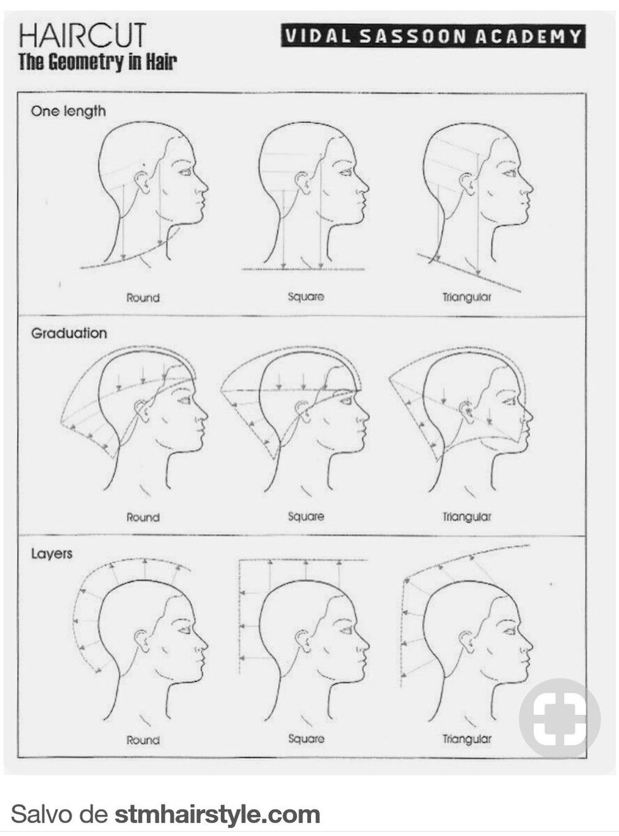 Стрижка 5 точек видал Сассун схема