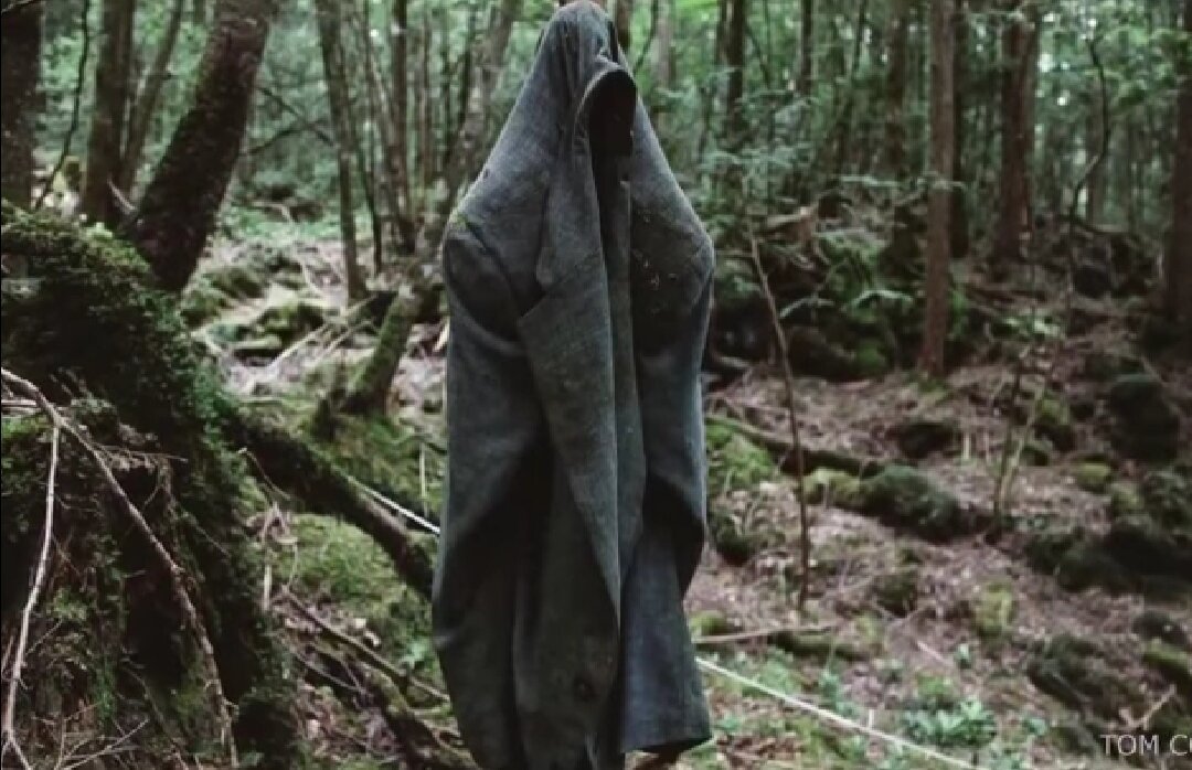 Итак начнем с того, что  в 2016 году был выпущен фильм под названием    " Лес призраков" в котором главная героиня отправляется на поиски своей пропавшей сестры в Японию.