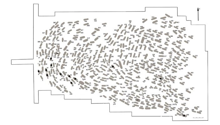 План Ново-Сасыкульского могильника. Сплошными кругами обозначены погребения, из которых происходят травмированные черепа. Источник: оригинал статьи (ссылка ниже)