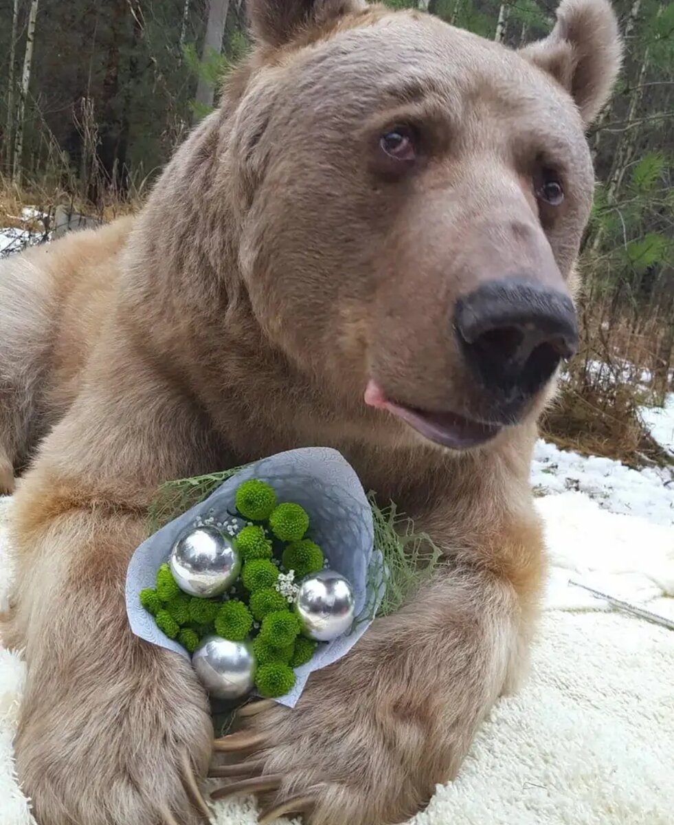 Степан, источник: яндекс.картинки