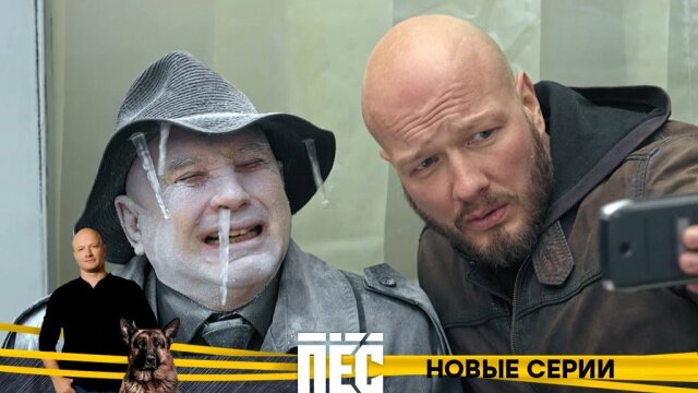 Взято с Яндекс картинки.