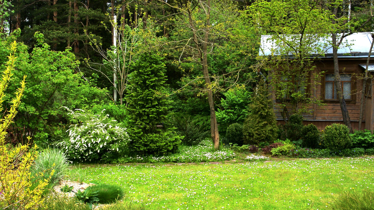 между городом и дачей дзен. дачные дела. дача дзен каналы. журнал яндекс дзен. дача дзен каналы.