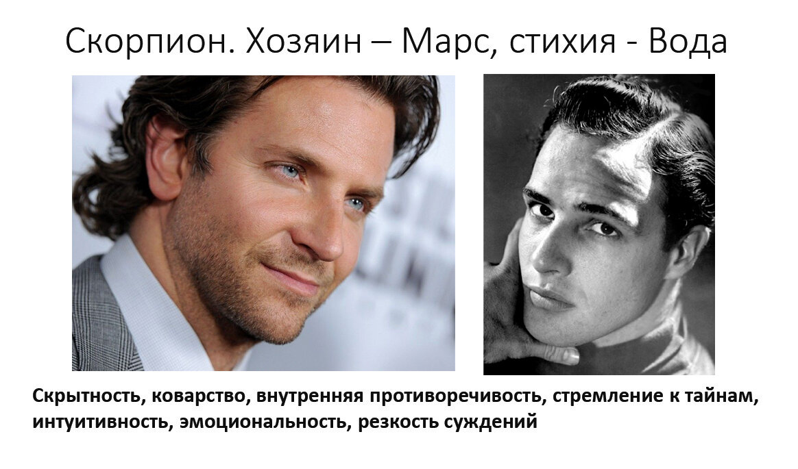 Примеры Скорпионов: Брэдли Купер, Марлон Брандо