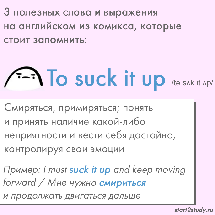 Разбираем интересные слова и конструкции на английском: mess, to suck it up  и to cope, | Английский язык | Start2Study | Дзен