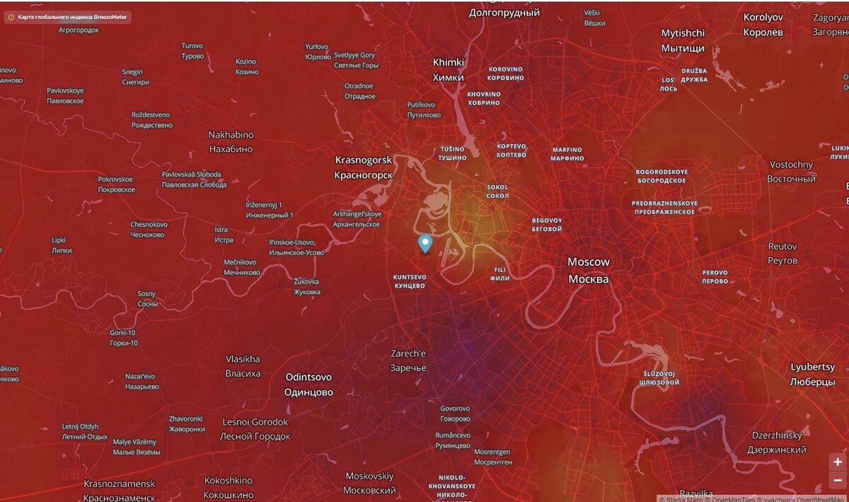 Карта пыльцы москва 2024