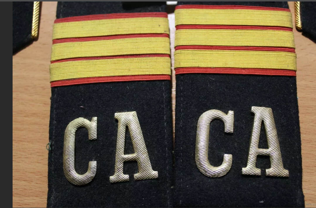 Фото с Яндекса. Сержант.