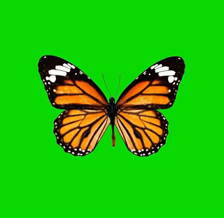 Пример: (@videooverlays)