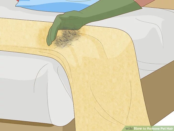 3 Протрите большую часть тканевой мебели влажной резиновой перчаткой, наденьте свежую резиновую перчатку, какую вы используете для домашней уборки. Промойте его под краном, а затем стряхните лишнюю воду. Слегка протрите перчатку по ткани, и она легко соберет шерсть питомца.[4]Если перчатка забьется волосами, опустите ее под воду, чтобы очистить, и начните снова.
Вы также можете использовать распылитель, чтобы слегка сбрызнуть перчатку.
