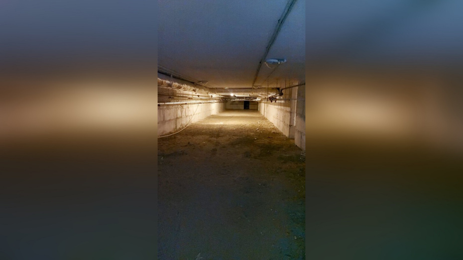   Автор фото: пресс-служба администрации Новоусманского района