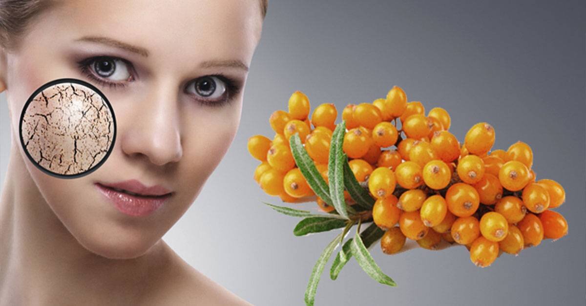 облепиховая маска для лица. облепиховая маска для лица. облепиховое масло для кожи лица. масло облепихи для лица. масло облепихи.