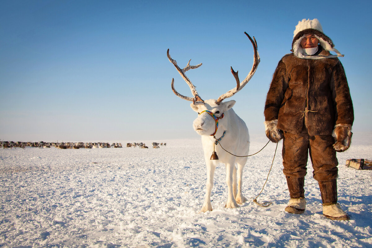 Р§СѓРєС‡Рё 2021