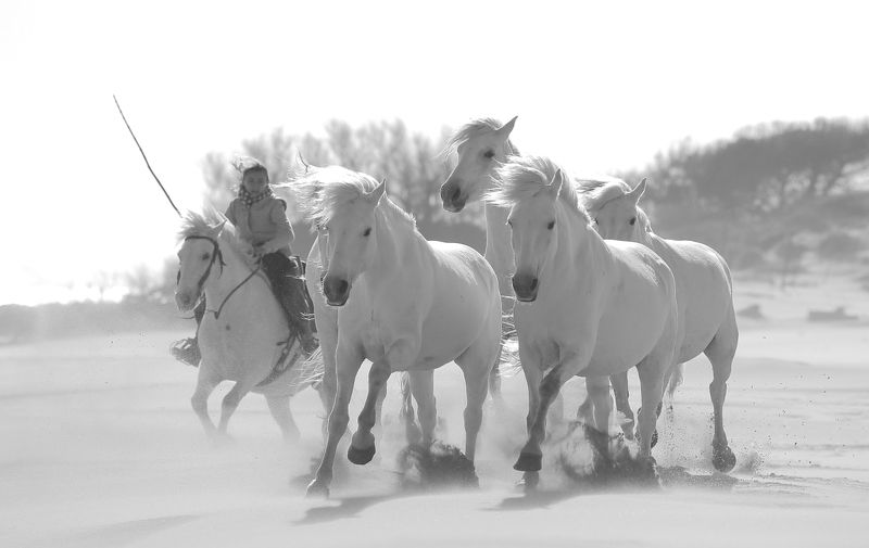 ����� ������� � ��������� ������ �������.