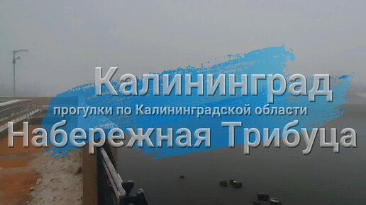 Прогулка по туманной набережной Адмирала Трибуца в Калининграде. Декабрь 2022 года