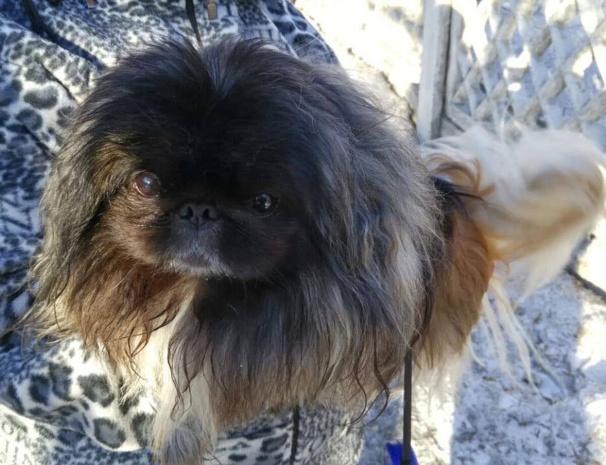 Будда любительское фото.