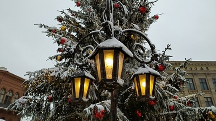 ФОТО: VICTOR LISITSYN, ВИКТОР ЛИСИЦЫН/GLOBALLOOKPRESS