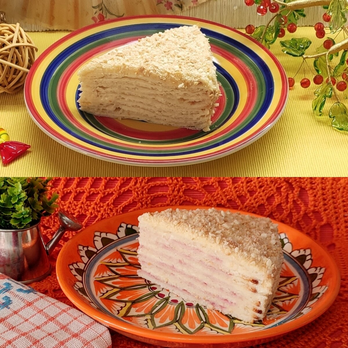 А вот и участники соревнования! Лайт в жёлтом углу ринга, Творожок - в красном!