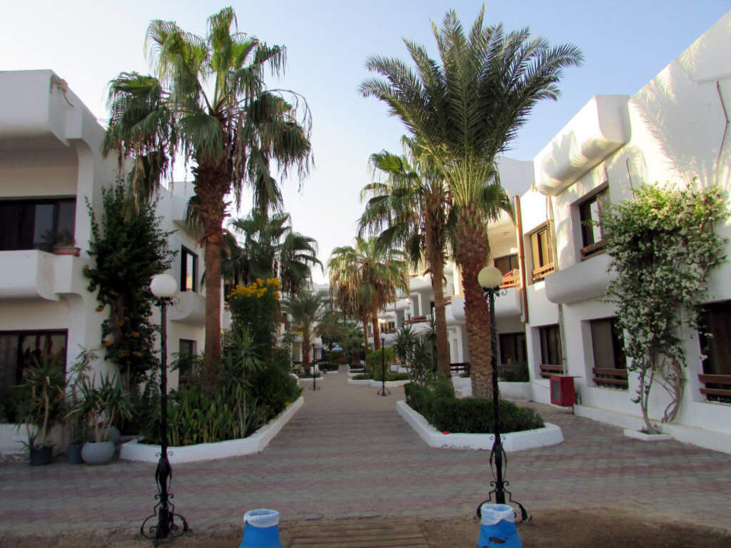 Территория отеля Marlin Inn Azur Resort