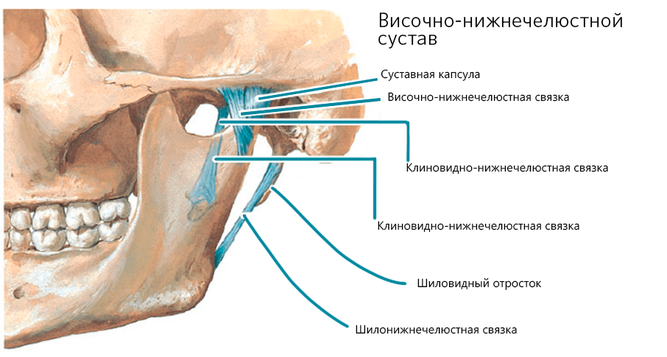 Мышечные зажимы