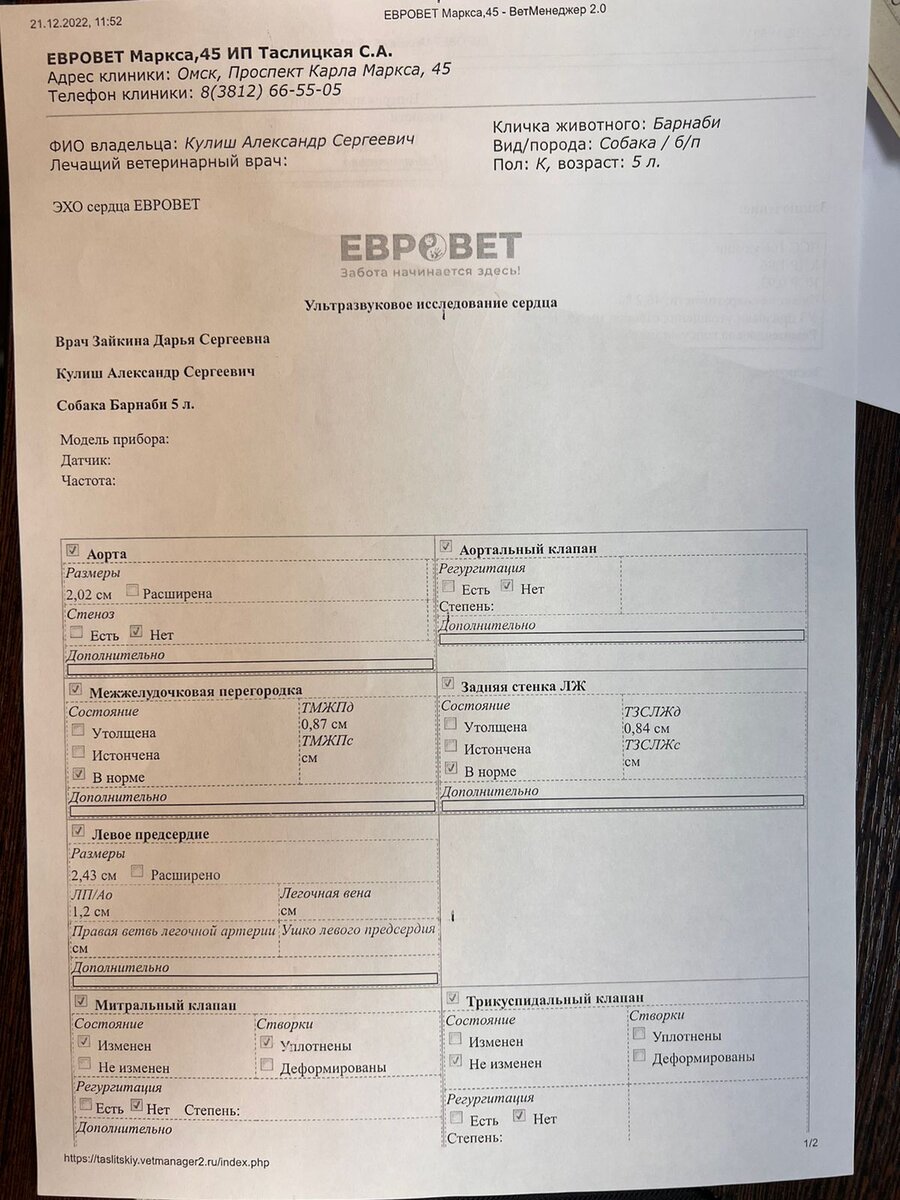 Результаты обследований собак
