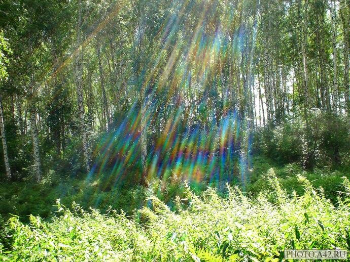 фото из просторов интернета