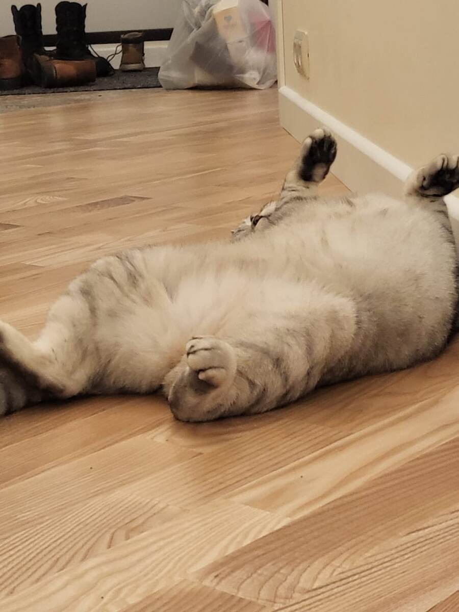 -2