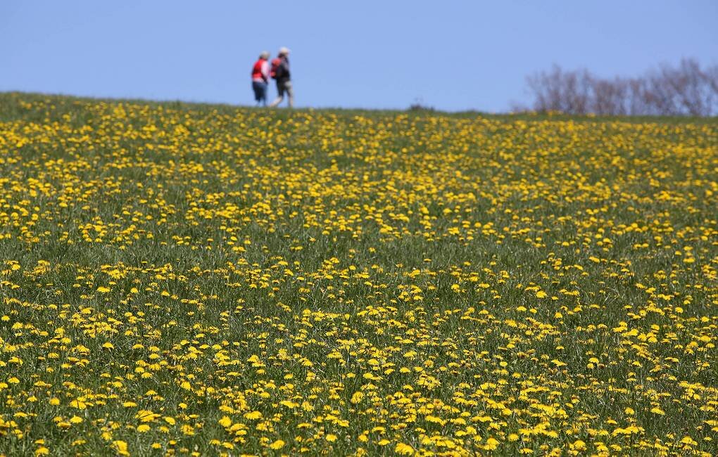 © imago images/Rene Traut via Reuters Connect 