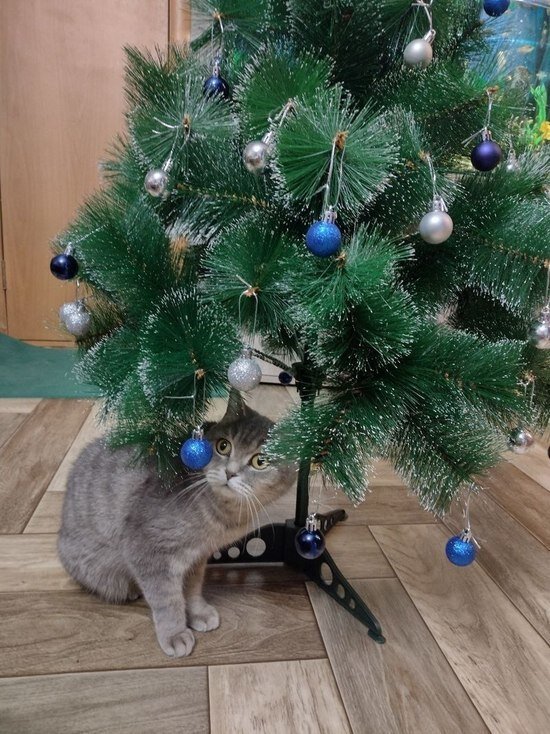     Фото: МК Ямал