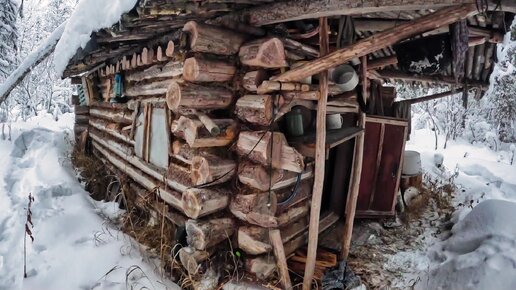 Таежная изба добрые походы