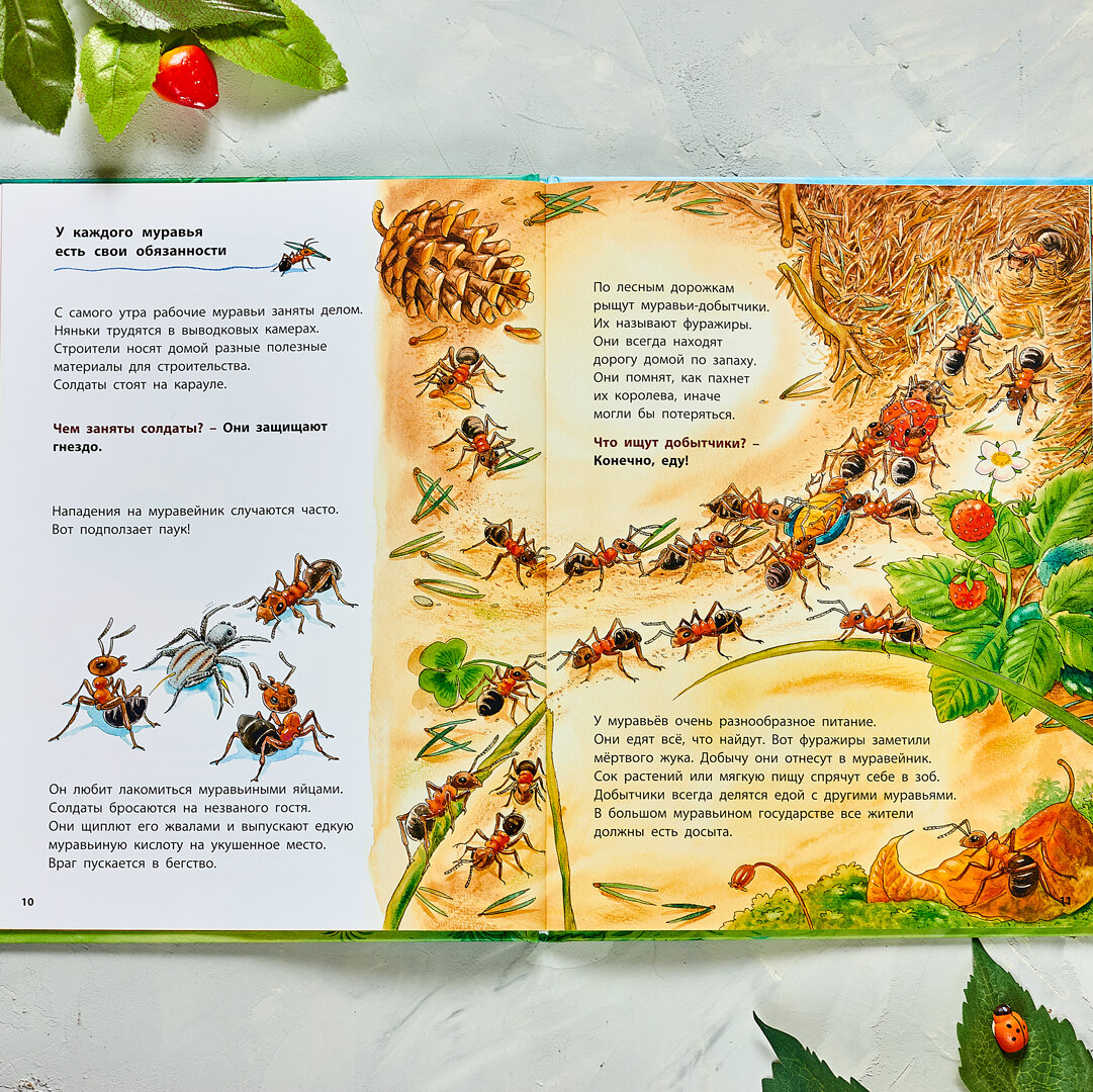 Где живёт муравьишка. Энциклопедия про муравьев. Стрекозы бианки. Иллюстрированная энциклопедия школьника вако. Читать муравьи 3 книгу.