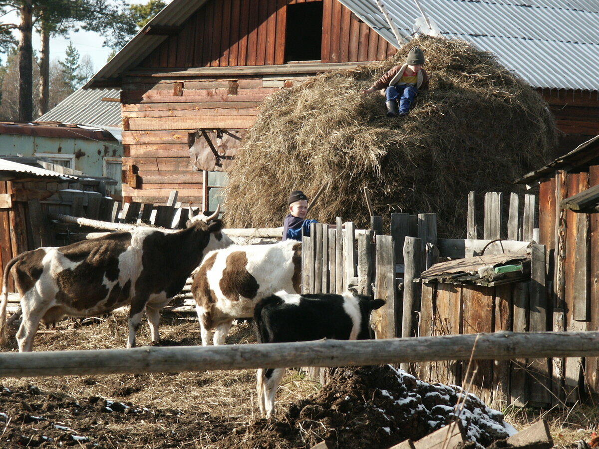 Красивое фермерское хозяйство