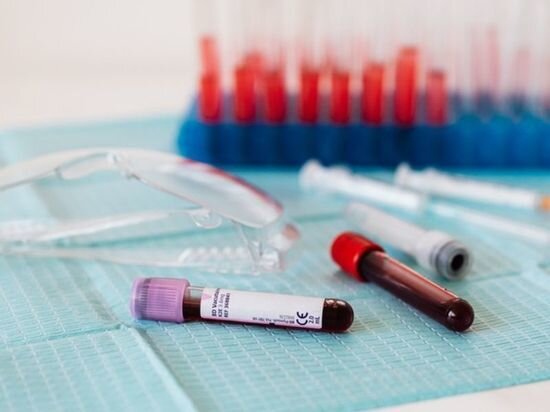     Всего было проведено почти 50 генетических исследований. / canva.com