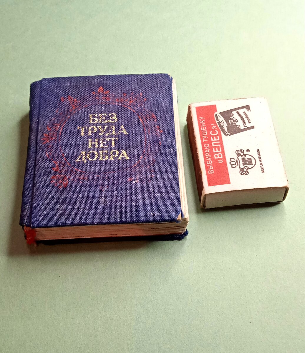 На фото спичечный коробок для масштаба. 