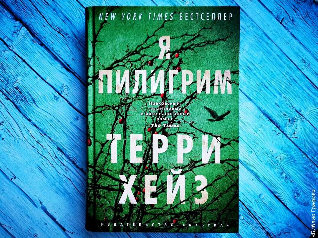 Пилигрим аудиокнига слушать. Я Пилигрим книга. Терри Хейз. Я Пилигрим Терри Хейз картинка. Терри Хейз все книги.