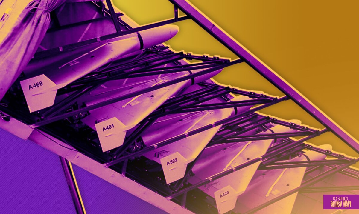    БПЛА Иван Шилов (с) ИА REGNUM