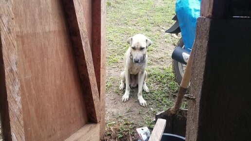 Полка готова | Готовлюсь к приезду сына | Жизнь пенсионера в деревне