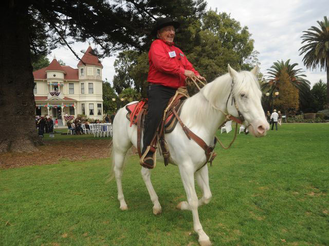 Сейчас белые лошадки, как и раньше, участвуют в парадах и шествиях города. 