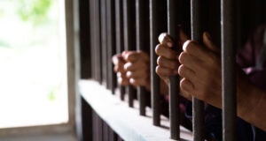    Фото: advo24.ru Лев Затонский