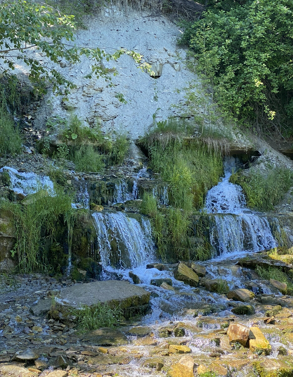 Фотография автора