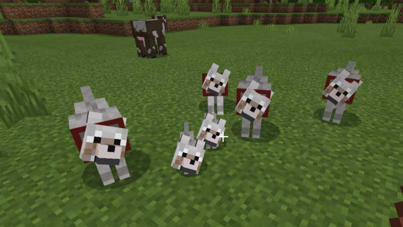 Pin de Joanna Mohr en Slaide Street Minecraft personajes, Dibujos cute, Minecraf