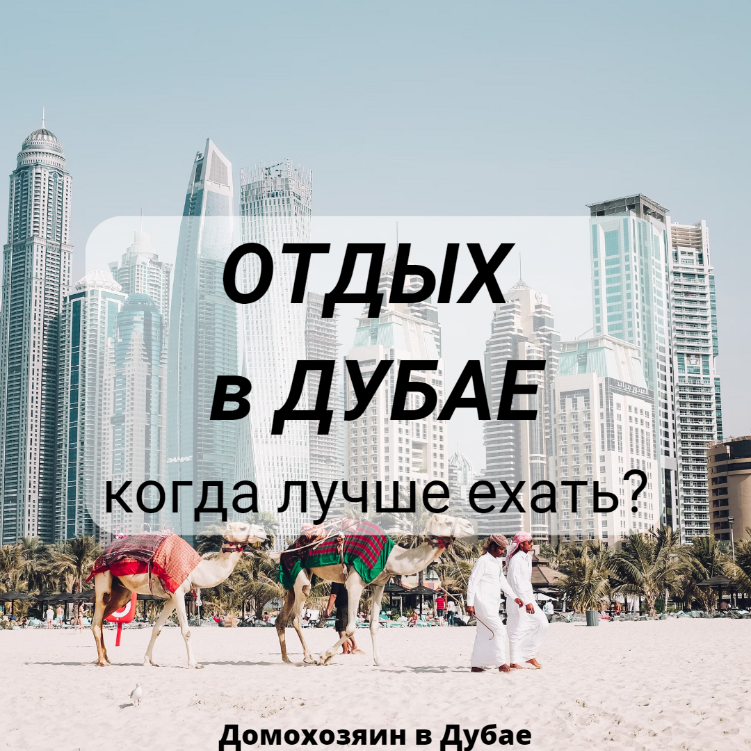 Дубай погода сегодня и температура воды. Дубай климат. Температура в Дубае. Дубай отдых. Море в Дубае в феврале.