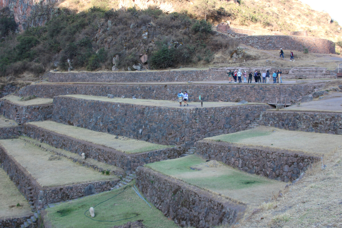 Огромные террасы в городе Писак, Перу (Pisac, Peru)