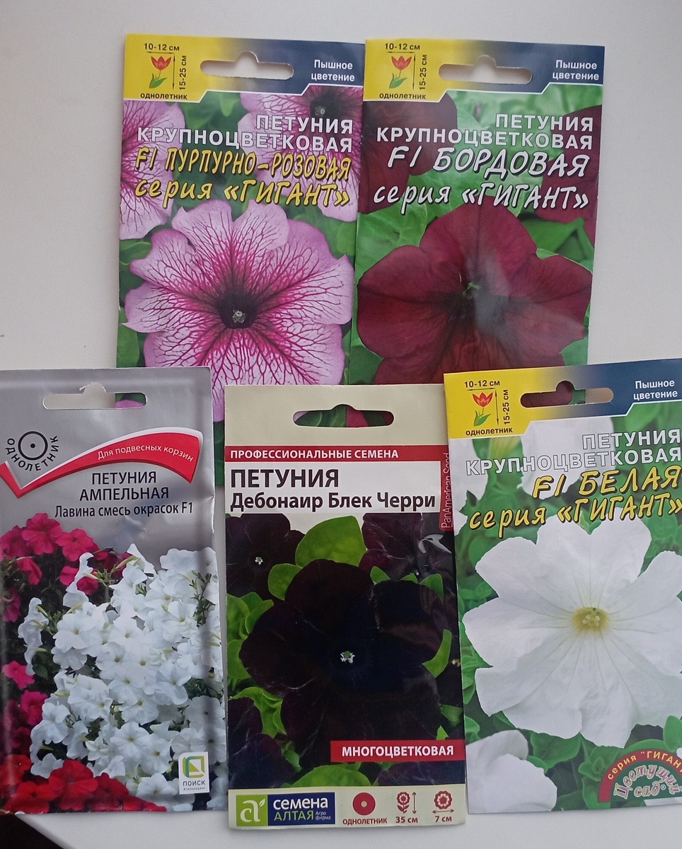 Личное фото