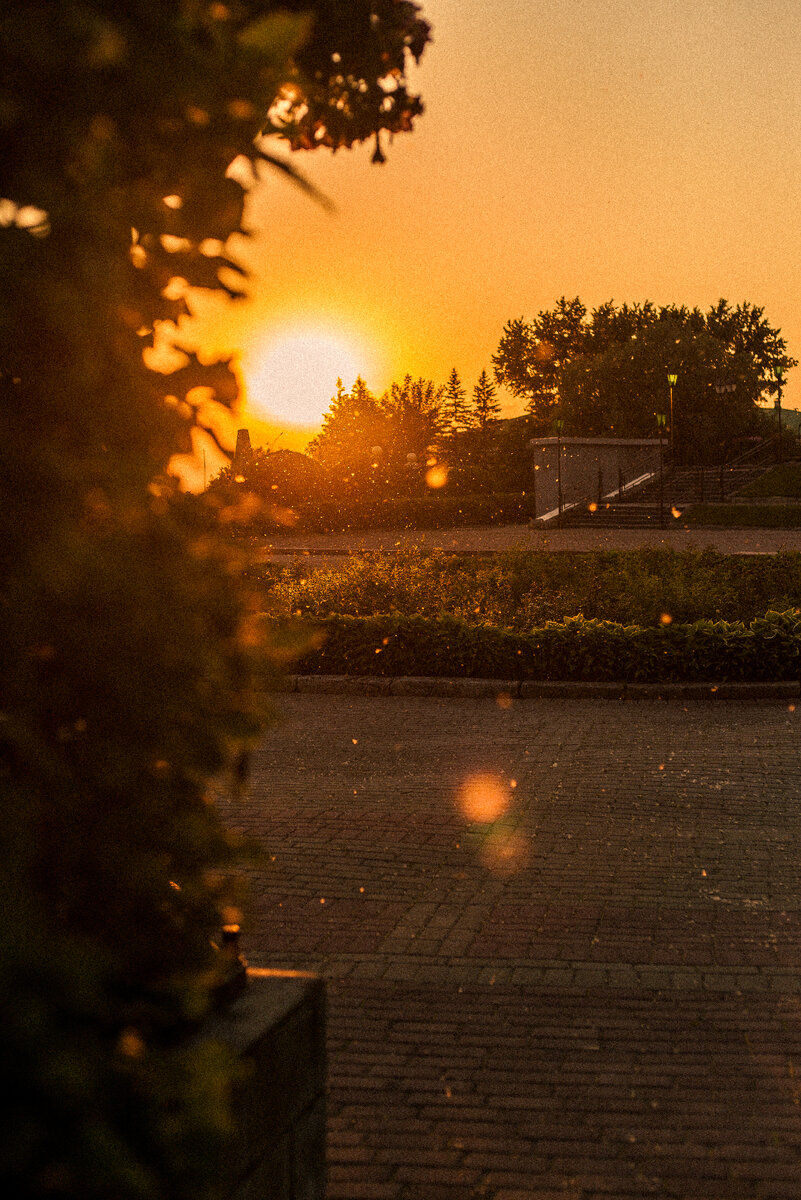 Фотограф Дарья Богданова/ Томск 2021